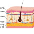 클림의원명동점 네이버블로그