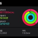 D-13 네이버블로그