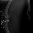 지누동물병원 이미지