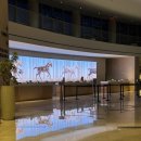 청소누림문화센터 | [미국 플로리다 올랜도#2] 하얏트 리젠시 올랜도 숙박 후기