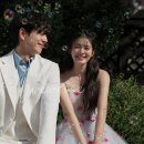 컴퍼니 S&J | STEP 0. 결혼을 결심하게 된 이유, 웨딩 준비 큰흐름 잡기(feat. s웨딩)