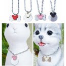 미키애견 이미지