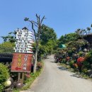 합천호토속식당 이미지