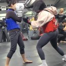 제로멀티짐 이미지