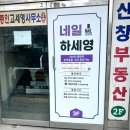 네일하세영
