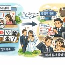 정진 행정사사무소 이미지