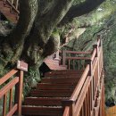 법호촌 교차로 2 이미지