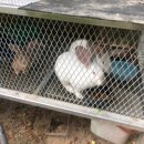 우심농장 이미지