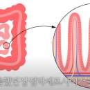 서라벌한의원 이미지