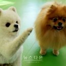 원쿡