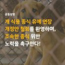 [공동성명]개 식용 종식 유예 연장 개정안 철회를 환영하며, 조속한 종식 위한 노력을 촉구한다! 이미지