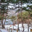 부여 유아숲체험원 이미지