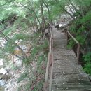 미사벨리 이미지