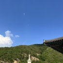 단양삼시세끼 | 미륵대흥사 고양이와 함께한 템플스테이 충북 단양 여행 대흥사