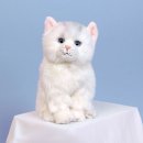 (주)리얼화이트 이미지