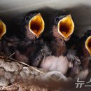 북부상가시장 이미지