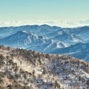일산덴트