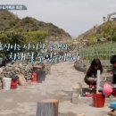 삼시세끼 이미지