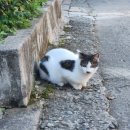 굴렁쇠노래방 이미지