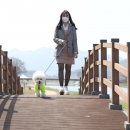 오수의견관광지 이미지