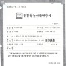 토마토인터넷 이미지