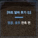 [롯데마트 판촉 알바 후기 ①] - 정월대보름 부럼(땅콩, 호두) 판촉 알바