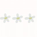 노브랜드진주초전점 이미지