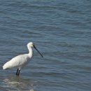 진참뼈감자탕 갈산점 이미지