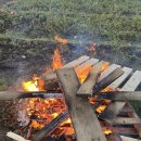 한솔이네농장 | 부산봉사활동 제주도 농활 후기 ! 구좌읍 당근 수확 돕기