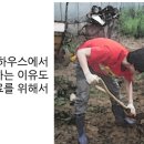 한남CSI