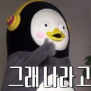 w. 웨딩밴드를 결정하는 신박한 방법 ; 예쁜 걸 산다 &lt; 반조애 전주점 &gt; 후기