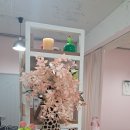 수피부관리 이미지