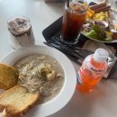 생명의 바다 1.1 이미지