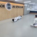 칼슨그레이시세종주짓수본관