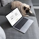 서비스랜드 이미지