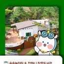 천마니 작은도서관 이미지