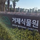 인디안거제 | 거제 가볼만한곳 실내 데이트하기 좋은 거제식물원(거제 보타닉 가든)