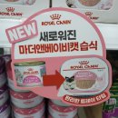 멍멍 앤 야옹 이미지