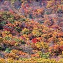 부산농원민박 이미지