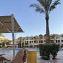 10평파스타 | 이집트 후루가다 숙소 재즈 마카디 사라야 리조트 4박 내돈내산 후기