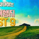 [국내 봄 여행지] 요즘 가봐야 하는 봄 여행지 BEST 9 3월~4월 가볼만한곳 9 선정 이미지