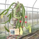 박이농장 이미지