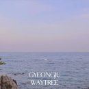 웨이트리 이미지