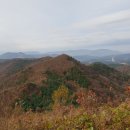 서준활어 이미지