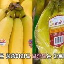 진차이 이미지