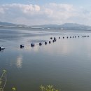 오산4리마을회관 | 안성천 따라 걷기5(최종회: 카페 아카이브-평택대교-아산만방조제)