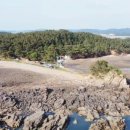 밀물민박 이미지