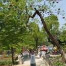 샤브향 아산탕정점 이미지