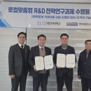 현대화이트 이미지