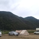 충북 단양 새별공원 무료 차박 노지 캠핑 고운골 갈대밭 화장실 정보